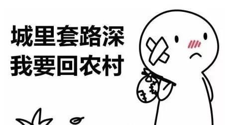 裝修，為什么選擇三葉石裝飾？