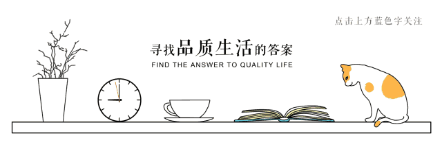 墻紙發(fā)霉怎么處理 如何預(yù)防墻紙發(fā)霉 墻紙發(fā)霉怎么處理 如何預(yù)防墻紙發(fā)霉